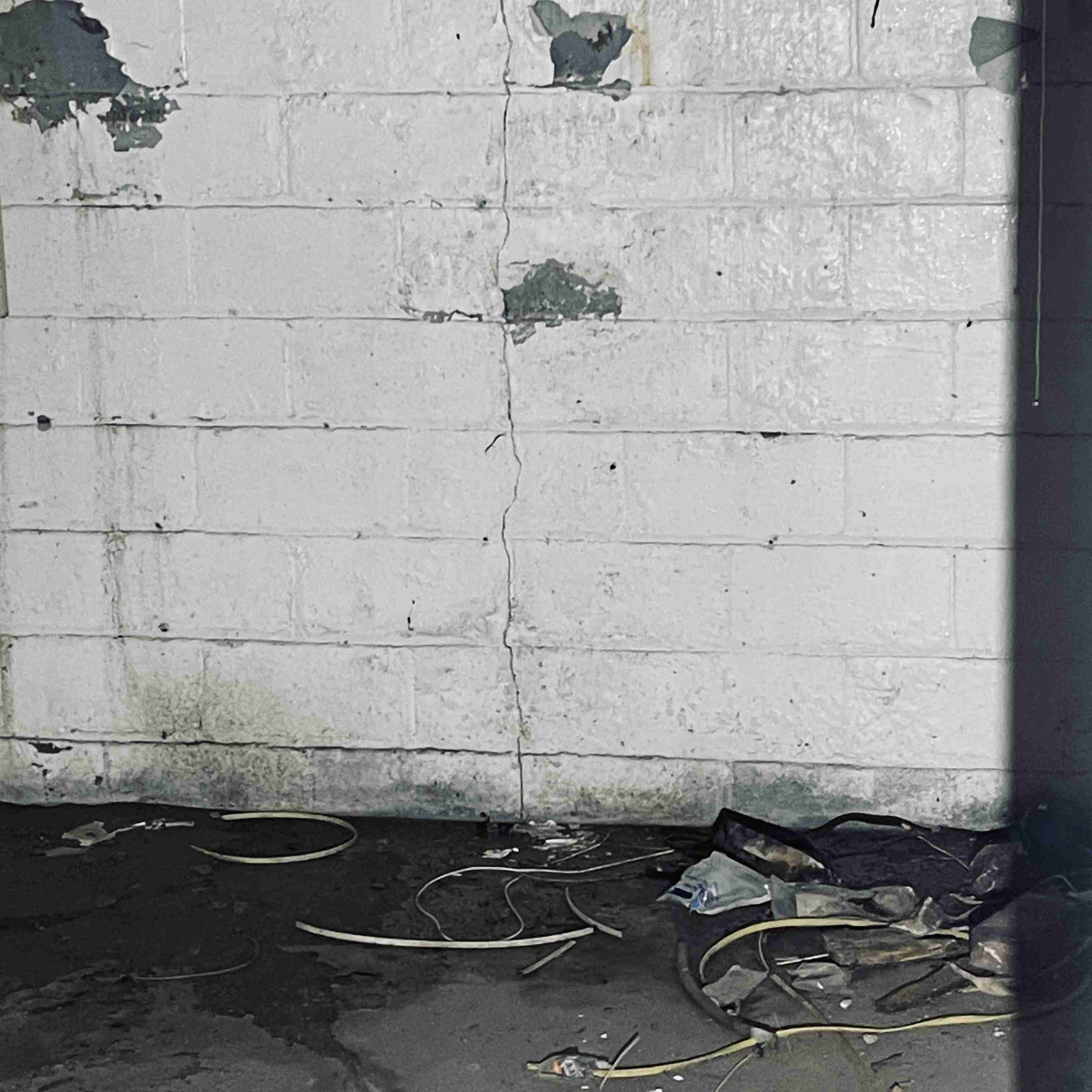 14910 Robson (67).jpg